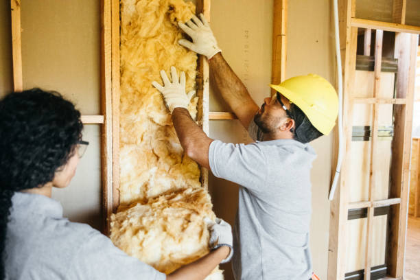 Best Wall Insulation Installation  in Northfield, IL